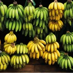 banana prende ou solta o intestino