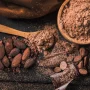 benefícios do cacau