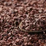 nibs de cacau