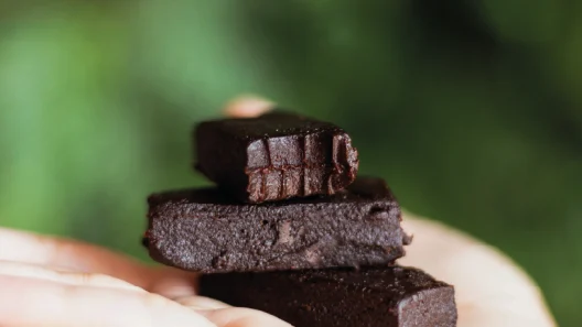 lanche da tarde saudável