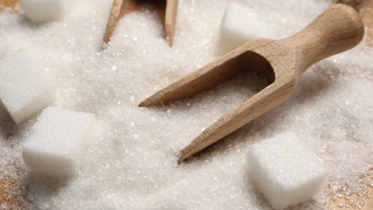 alternativa ao açúcar