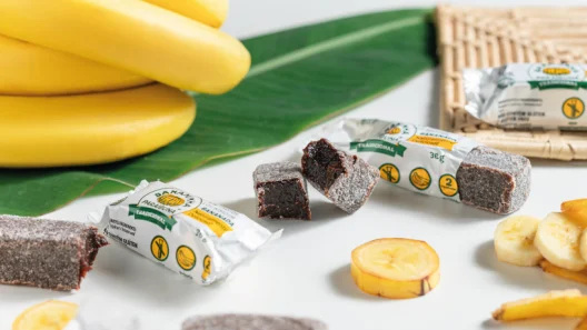 bananinha paraibuna tem conservante