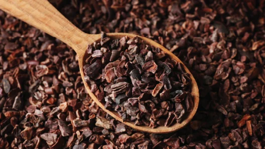 nibs de cacau o que é