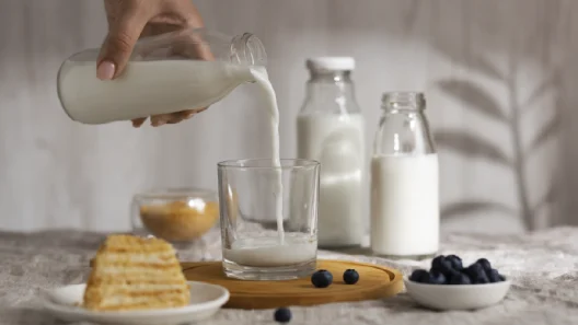 todo doce tem lactose