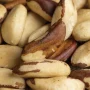 benefícios castanha-do-pará