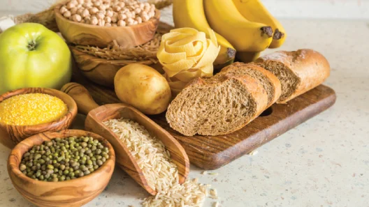 alimento rico em fibra