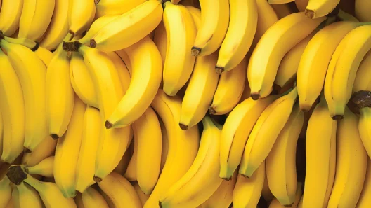banana engorda
